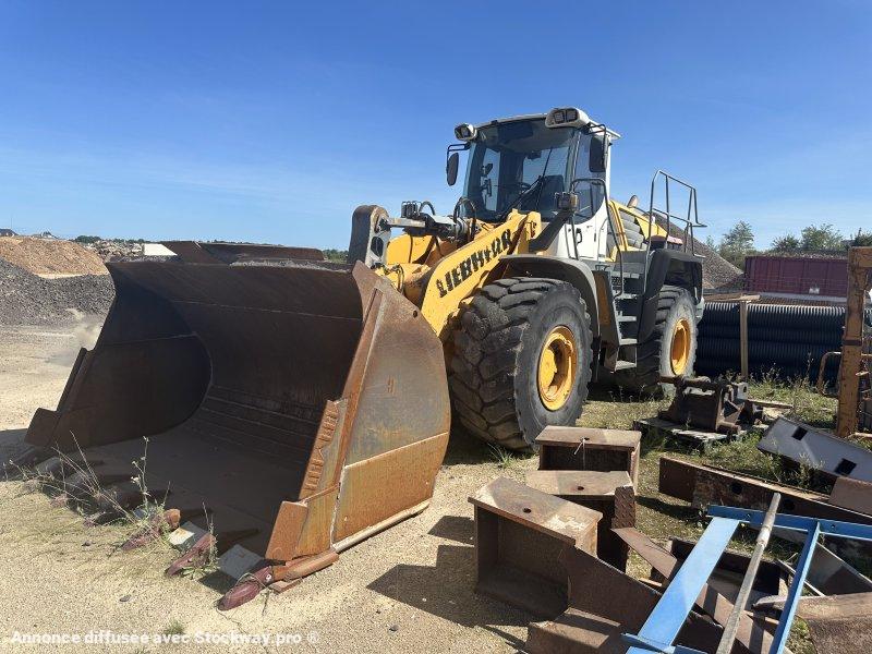 Photo Liebherr L580 2plus2  image 4/10