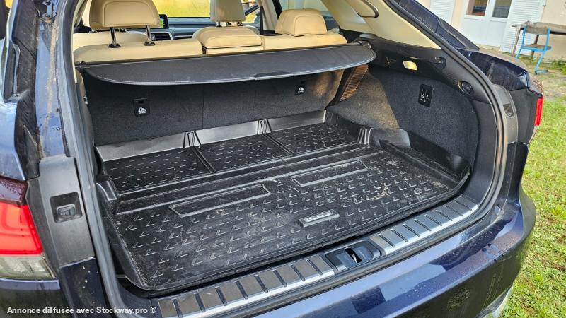 Photo Lexus RX 450H EXECUTIVE  image 20/20