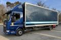 Camion DAF LF 210 FA HAYON RETRACTABLE DHOLLANDIA Fourgon