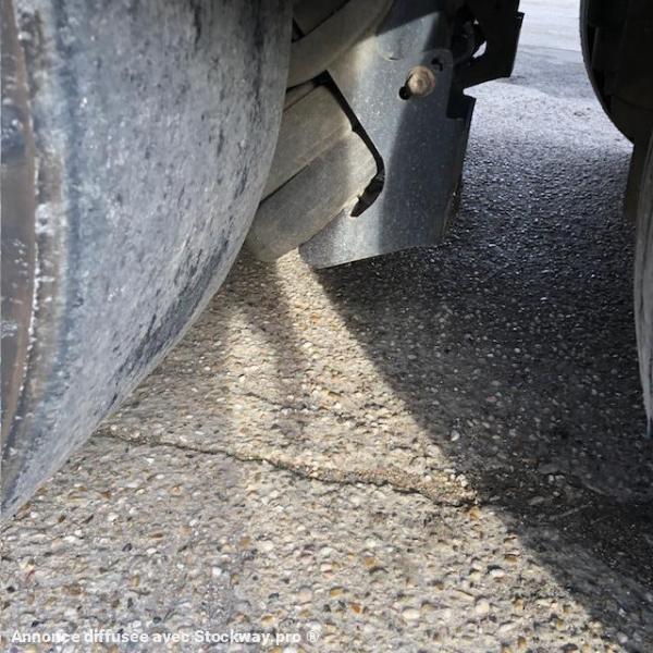 Photo Benalu JUMBOLINER fond mouvant  image 34/41