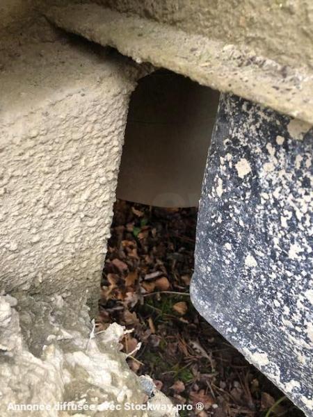 Photo DORGLER BÉTON  image 25/37