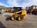 Cargadora Caterpillar 226B Series 3