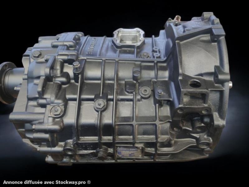 ZF  