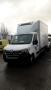 Utilitario  Frigorífico Renault                 Master Chassis Cabine L3