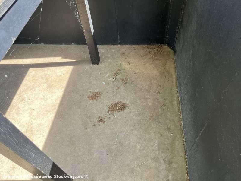 Photo AUTRE Bungalow 15 M2  image 13/16