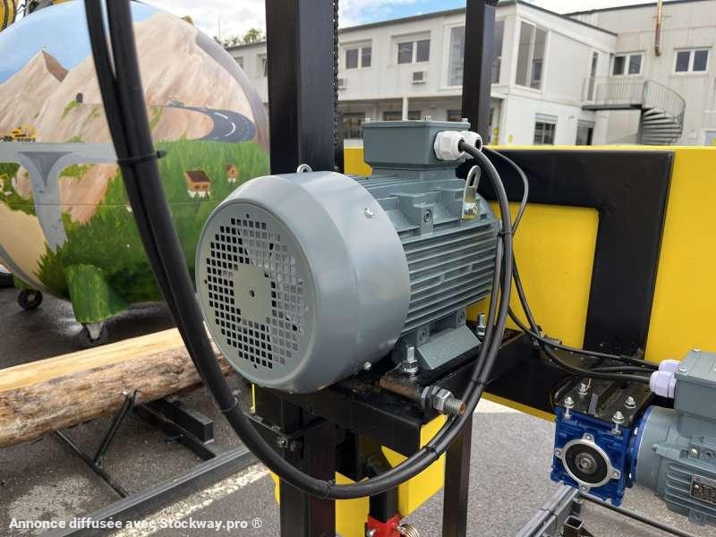 Photo CRISSWOOD E BIG SAM  image 17/26