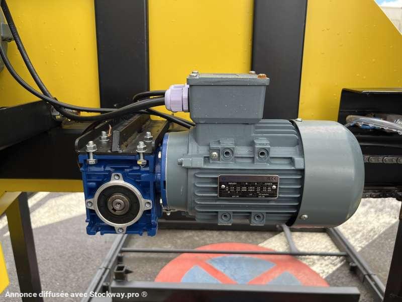 Photo CRISSWOOD E BIG SAM  image 18/26