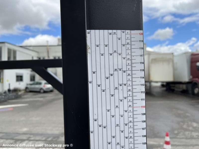 Photo CRISSWOOD E BIG SAM  image 24/26