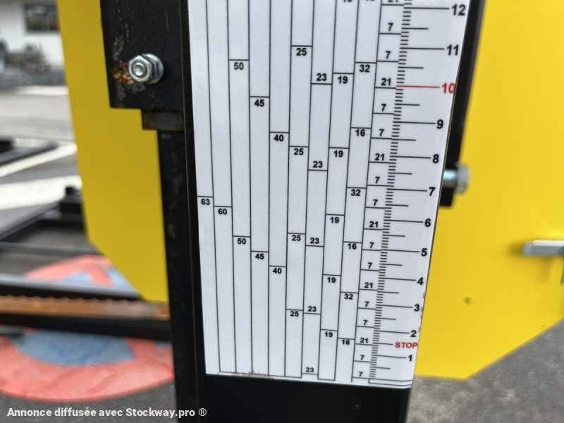 Photo CRISSWOOD E BIG SAM  image 25/26