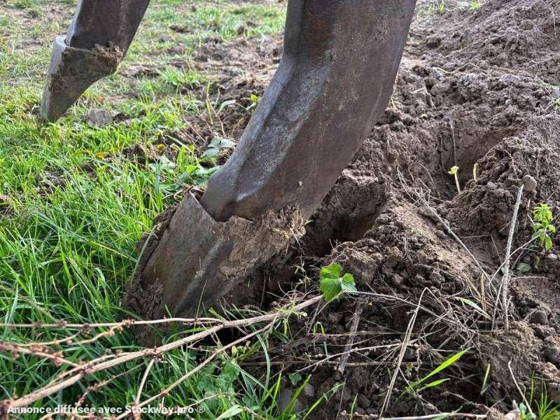 Photo Komatsu D65EX-12  image 36/38