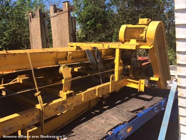 Photo AUTRE Sauterelle  image 4/6