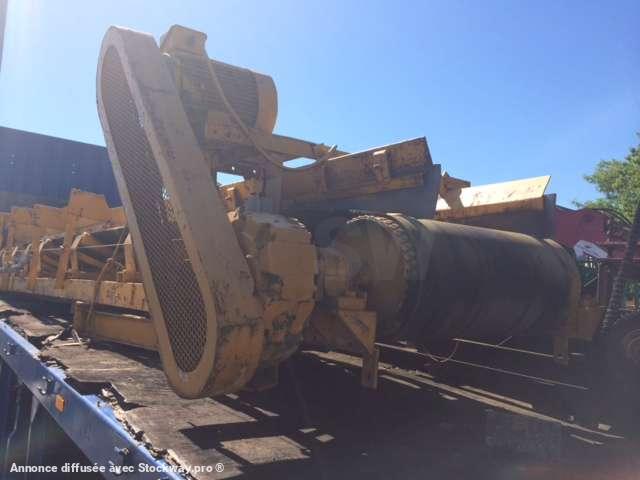 Photo AUTRE Sauterelle  image 6/6