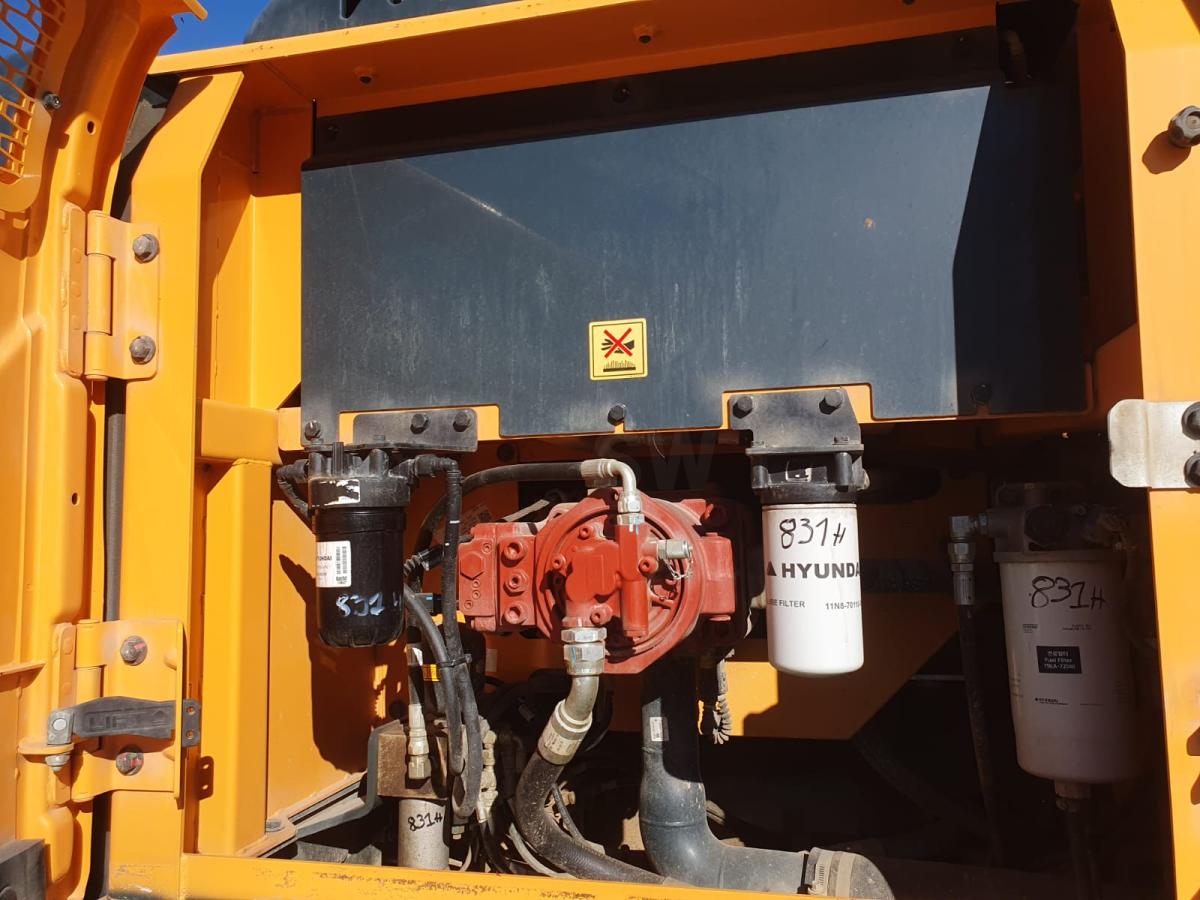 Pelle sur chenilles Hyundai HX260A NL