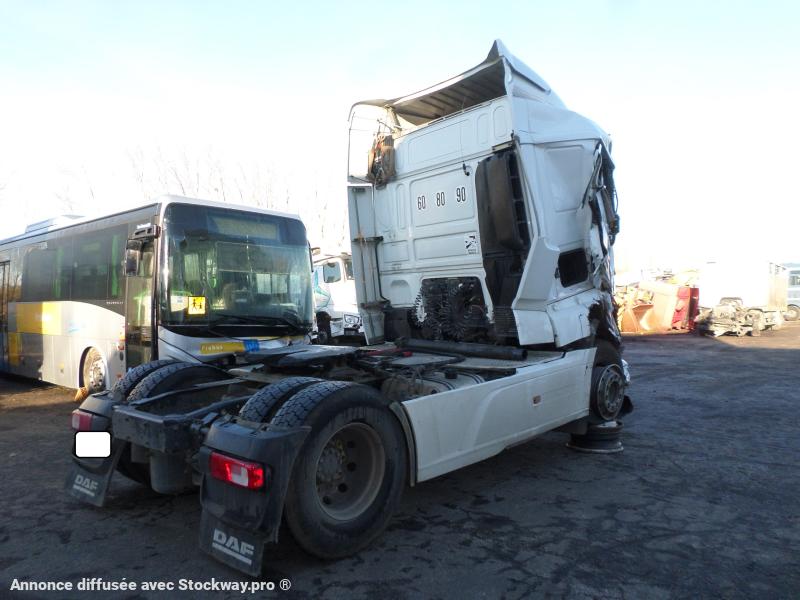 Photo DAF XF 460 image 2/12