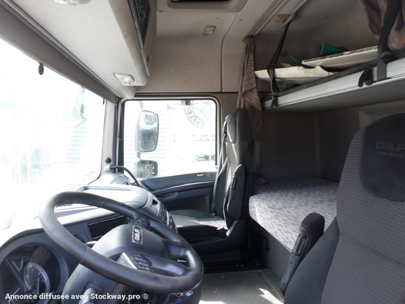 Photo DAF XF 460 image 11/12