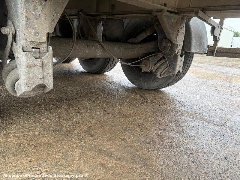 Photo Benalu Non spécifié  image 11/12