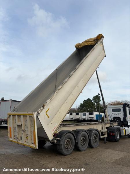 Photo Benalu Non spécifié  image 5/12