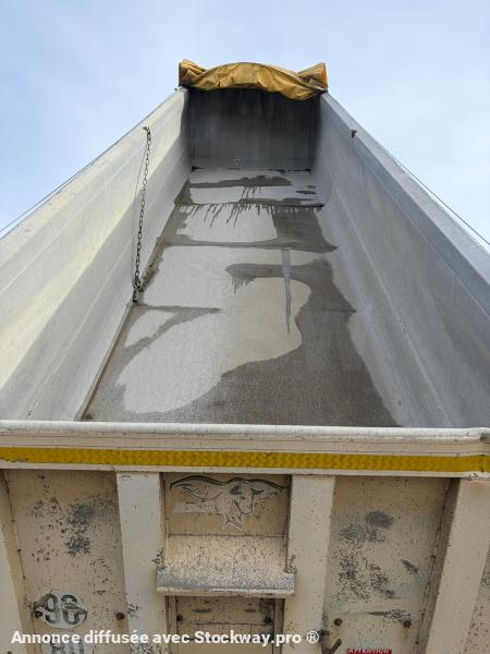 Photo Benalu Non spécifié  image 6/12