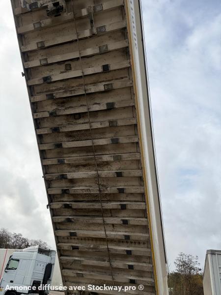 Photo Benalu Non spécifié  image 7/12