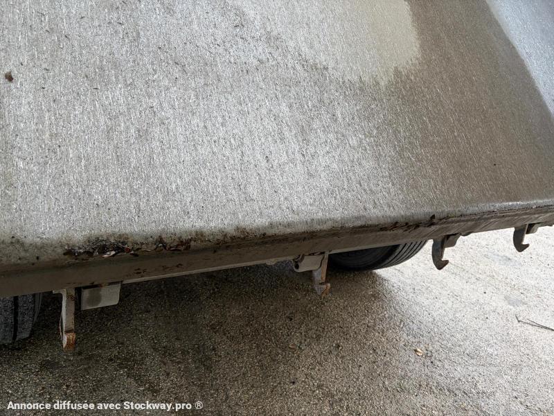 Photo Benalu Non spécifié  image 9/12