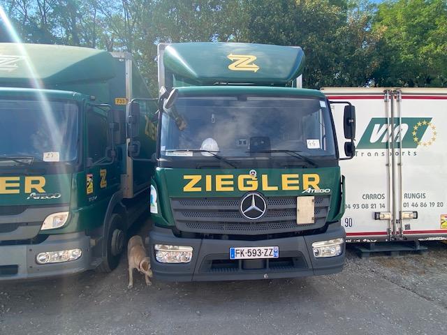 Camion Mercedes Atego 1224