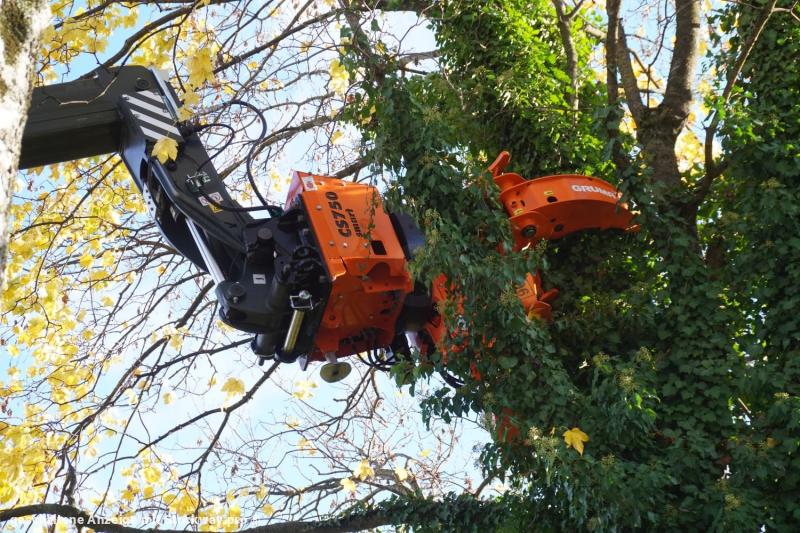 Magni RTH 6.31 - FÄLLKRAN 