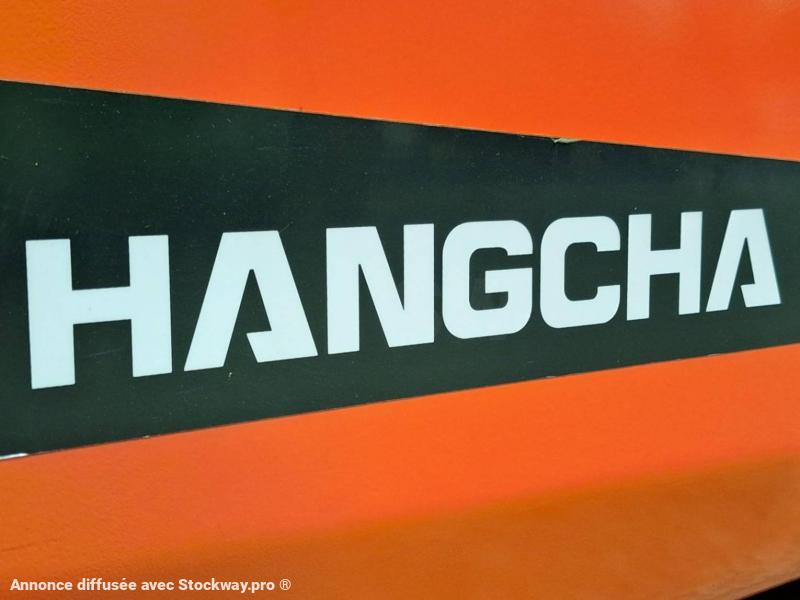 Photo Hangcha XF30G-2  image 17/18