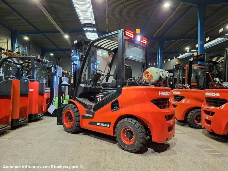 Photo Hangcha XF30G-2  image 4/18