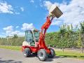 Loader Pichon P510