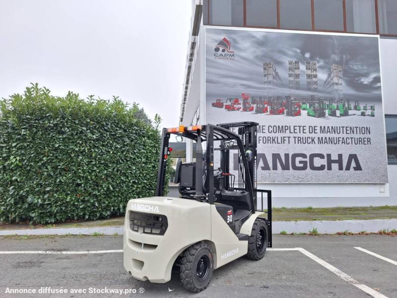 Photo Hangcha XF30D  image 5/18