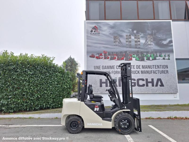 Photo Hangcha XF30D  image 6/18