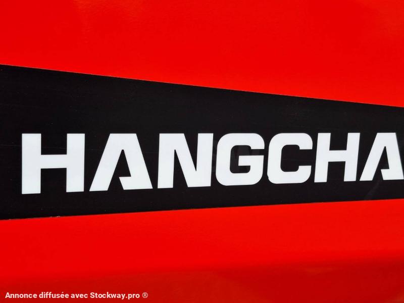 Photo Hangcha XF30G-2  image 15/15