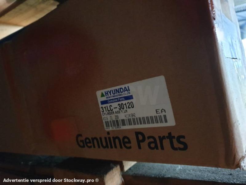 Hyundai Cylinder Assy LH 31LC-30120 