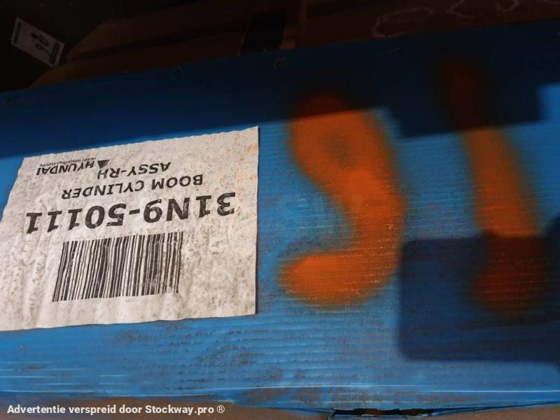 Hyundai Cylinder 31N9-50111 assy-RH 