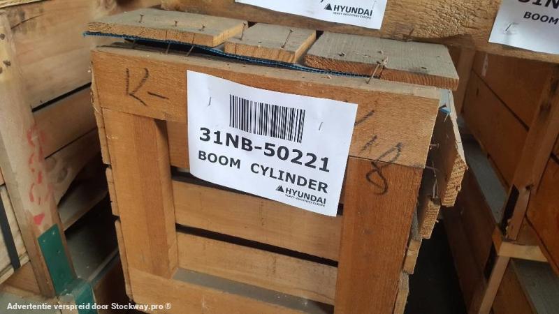 Photo Hyundai R450 LC-3 Boom Cylinder LH - Robex LC-7, 31NB-50221 image 3/6