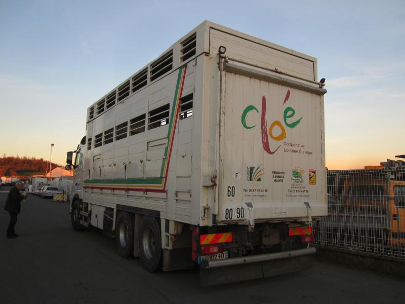 Camion Volvo FH 460 Bétaillère Bovins