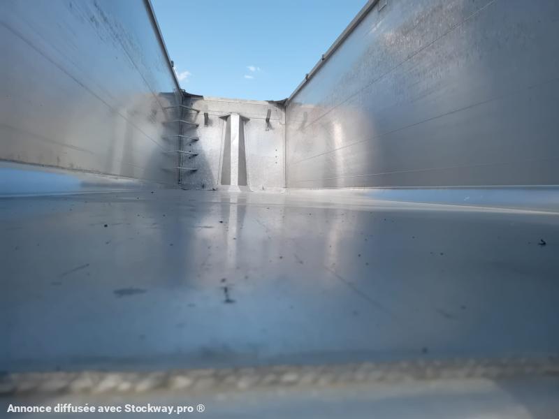 Photo Benalu Non spécifié  image 3/6