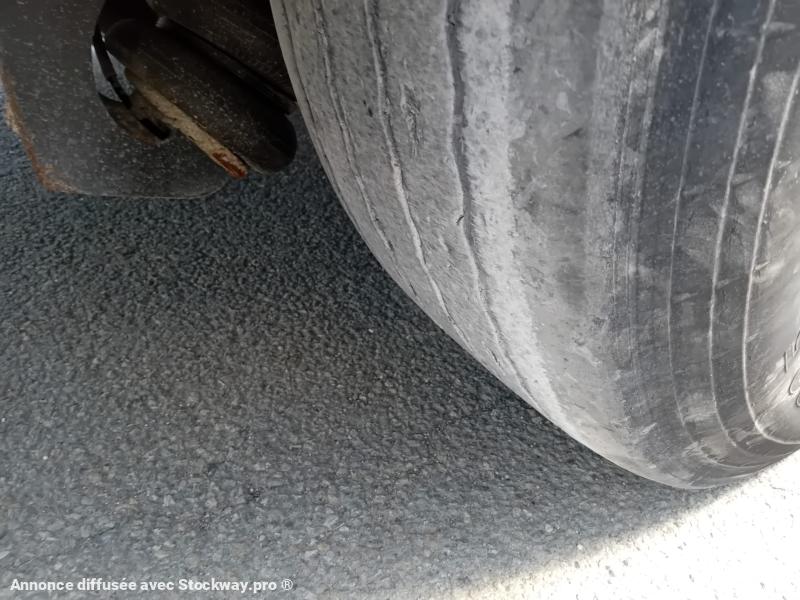 Photo Benalu Non spécifié  image 5/6