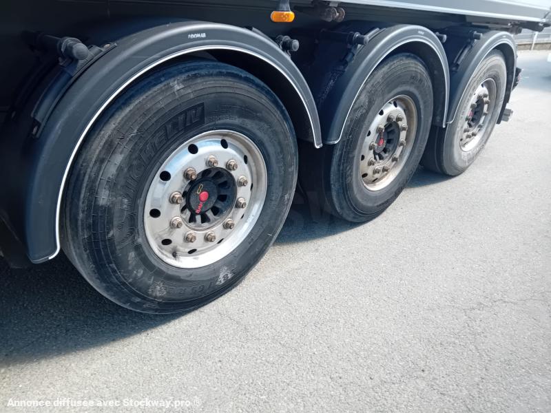 Photo Benalu Non spécifié  image 6/6