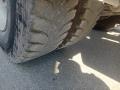 Tracteur Renault Gamme C 430 DXI