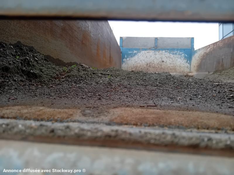 Photo Mercedes Arocs 4143 image 3/12