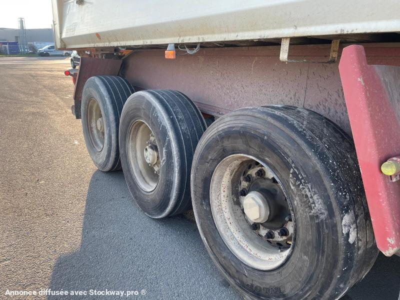 Photo Benalu Non spécifié  image 6/9