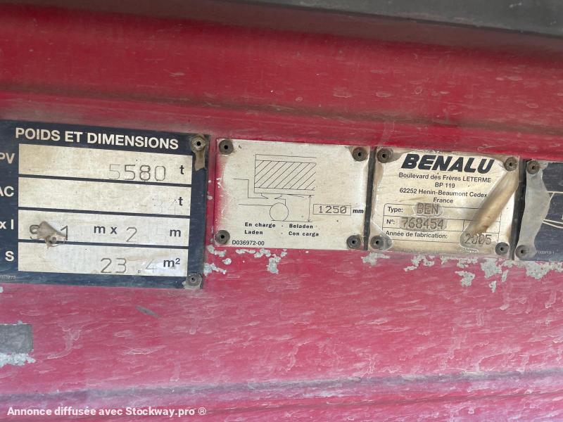 Photo Benalu Non spécifié  image 8/9