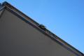Truck Mercedes Axor 1829