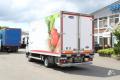vrachtwagen DAF LF 250