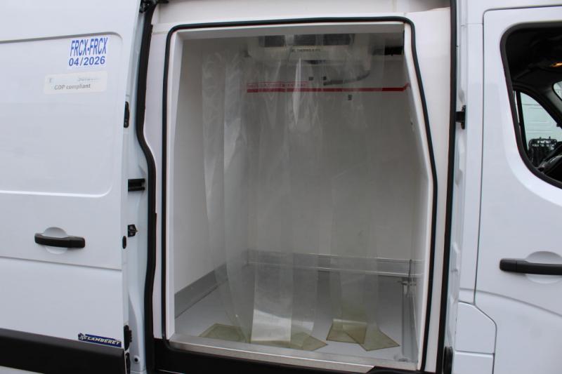 samochód dostawczy Renault Master