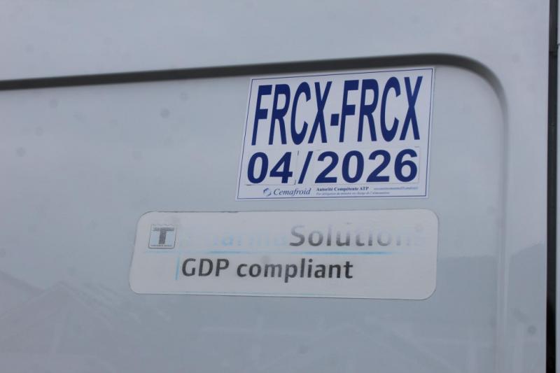 samochód dostawczy Renault Master