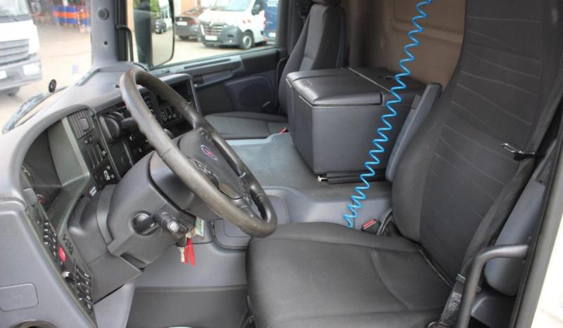 Camion Scania P 280