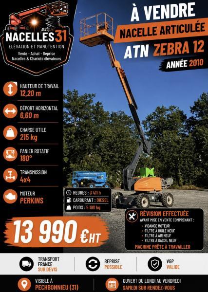 Atn                 Zébra 12