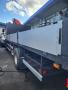 Camion DAF CF75 310